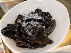 黑木耳-海底捞火锅(高新活力汇店)