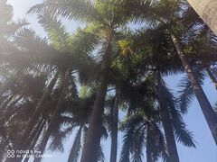 -惠州西湖丰渚园