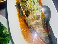 清蒸老虎斑-徐记海鲜(曲江南湖店)