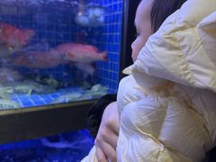 -徐记海鲜(观沙岭|滨江新城店)