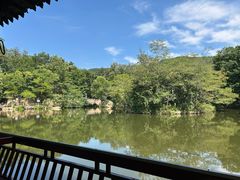 -鲁山国家森林公园