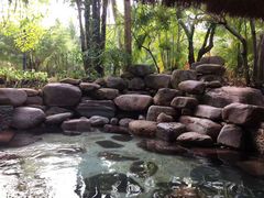 -三亚珠江南田温泉度假区