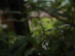 -九峰山