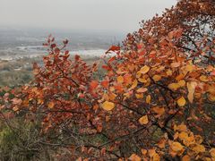 -北京凤凰岭