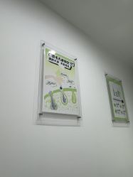 -凡碧诗毛孔清洁收细