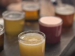 -Arrow Factory Brewing箭厂啤酒