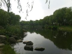 -新江湾城公园