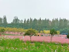 -嘉北郊野公园