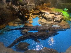 -多彩贵州城极地海洋世界