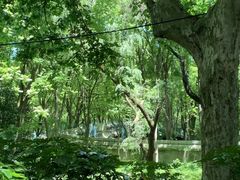 -上海共青森林公园