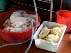 鹅和鸭-农厨好味·温泉鹅·农家菜