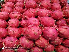 -港华水果街(港华广场店)