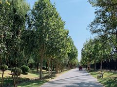 -永定河休闲森林公园