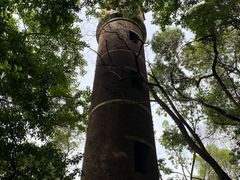 -马王堆汉墓遗址