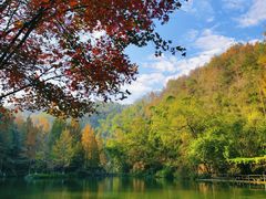 -桂林古东瀑布景区