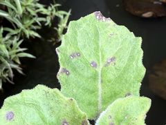 -金堂县云顶石城风景区