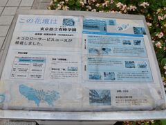 -东京都厅舍