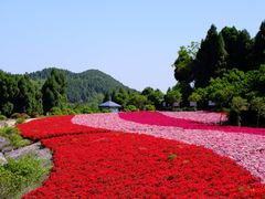 -中国香山·寿香谷