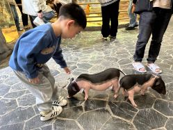 -Zoolung Zoolung动物主题公园(海信广场店)