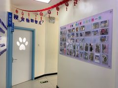 -全心全意连锁动物医院·微创中心·内科急重症·心脏专科(丰管路店)