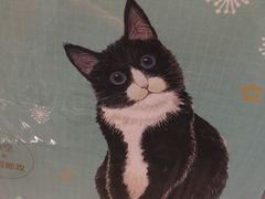 -猫的天空之城概念书店(杭州南宋御街店)