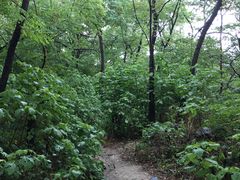 -阳台山自然风景区