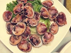 毛蚶-盐通酒家(金桥湾清水苑店)