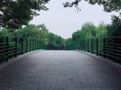 -尚贤河湿地
