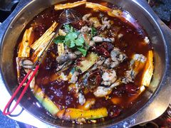 香辣田鸡锅-海岛八号龙虾烧烤田鸡(蓝天路总店)