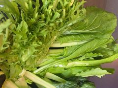 -额尔敦传统涮(公园西路店)