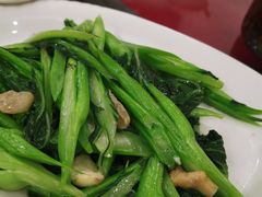 连州菜心-东馆和天下特色餐饮(工农店)