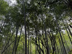 -莫干山风景区