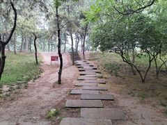 -元大都城垣遗址公园