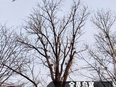 -北京动物园