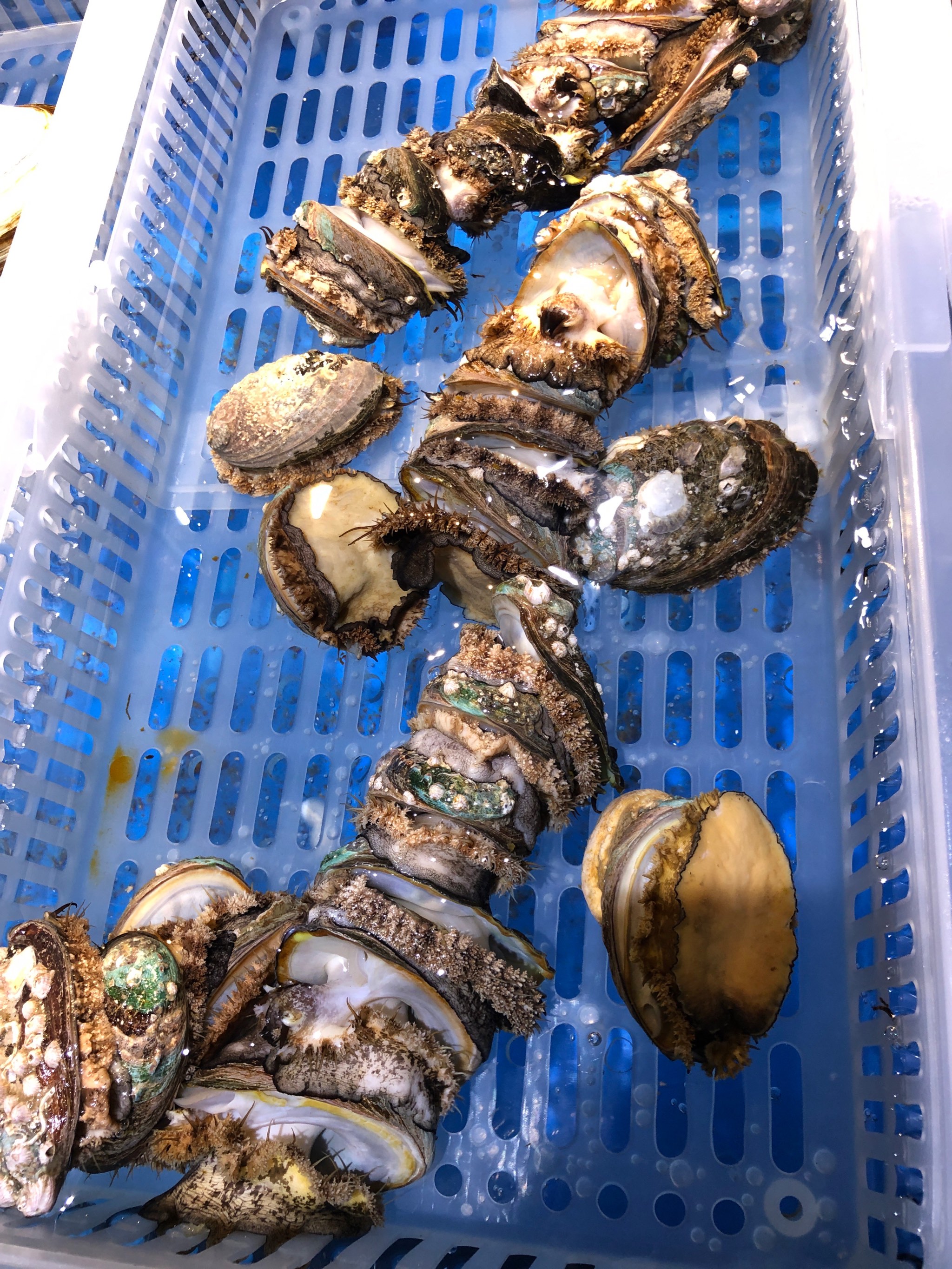 包含大理水产批发的词条 包罗
大理水产批发的词条（包罗大理水产批发的词条叫什么） 水产