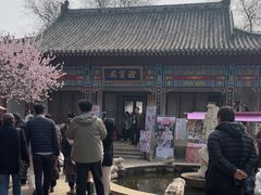 -桃花堤公园
