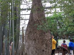 -南山植物园