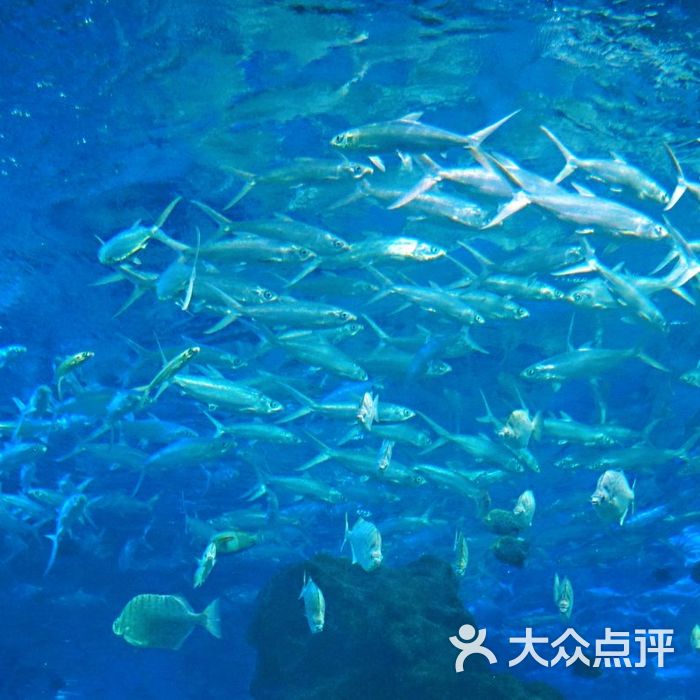 武漢海昌極地海洋公園