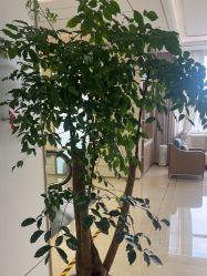 -韩辰医疗美容医院