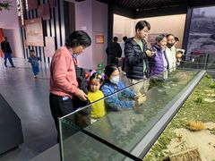 -圩墩遗址公园