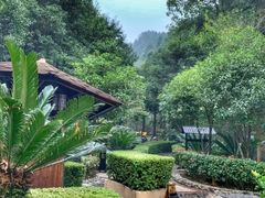 -明月山天沐温泉度假村