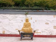 -大金鹰园