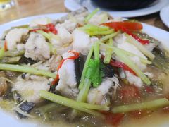 酸菜炒麻鱼-长平肥姐白粥·海鲜打冷