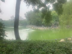 -莲湖公园