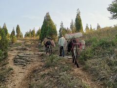 -龙洞风景区-藏龙涧
