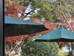 -浙江西子宾馆·瑶园咖啡厅