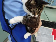 -纳吉亚猫专科动物医院博雅分院