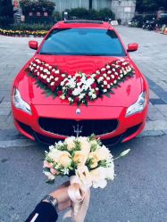 -蚂蚁婚车