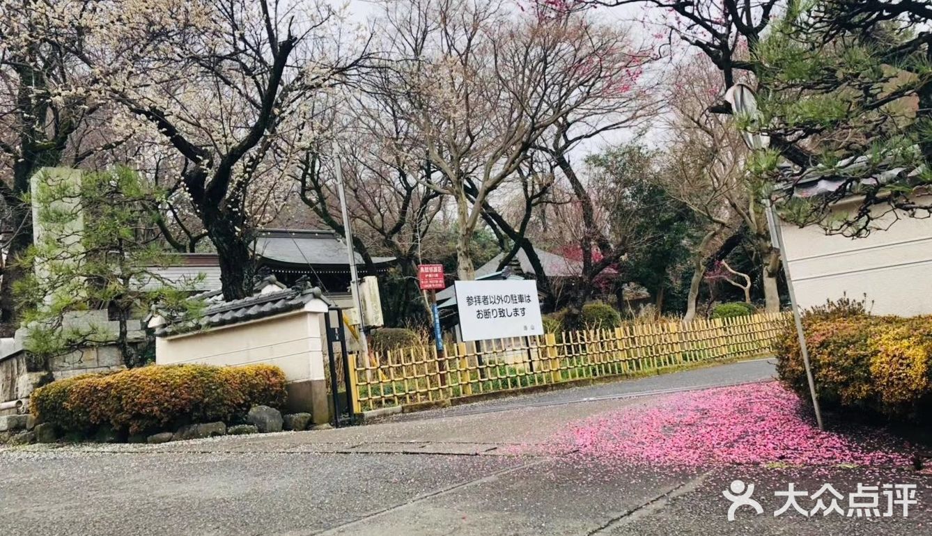 无名的神社，读书的花园