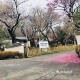 无名的神社，读书的花园